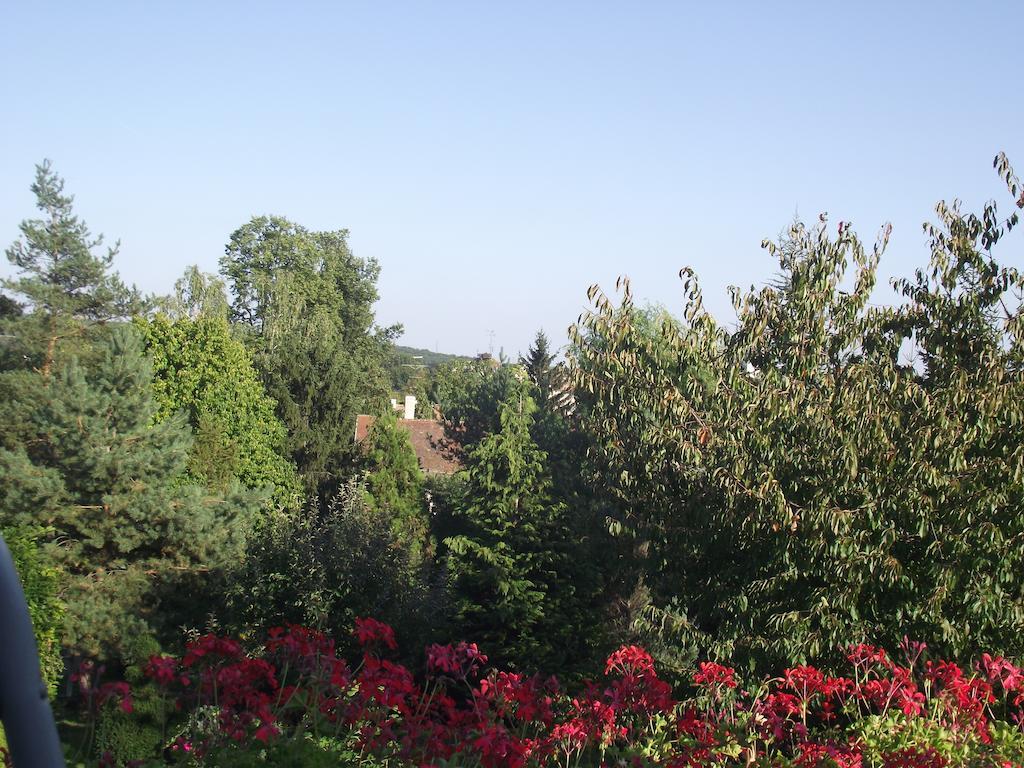 Kasper Vendégház Kőszeg Exterior foto